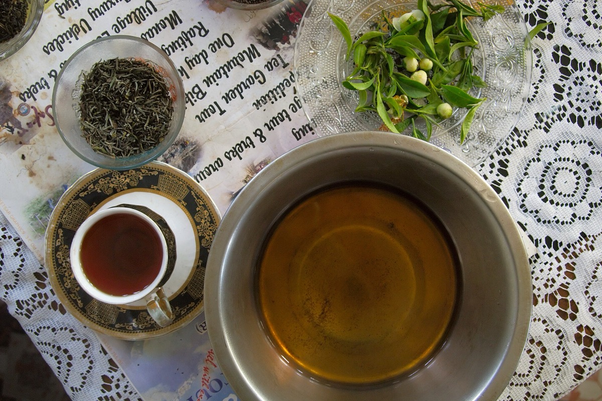 Darjeeling garden